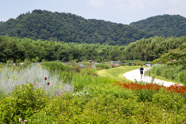 산책로를 따라 조성된 정원 사진