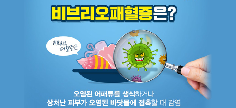 비브리오 패혈증은?
비브리오 패혈증균
오염된 여패류를 생식하거나 상처난 피부가 오염된 바닷물에 접촉할 때 감염