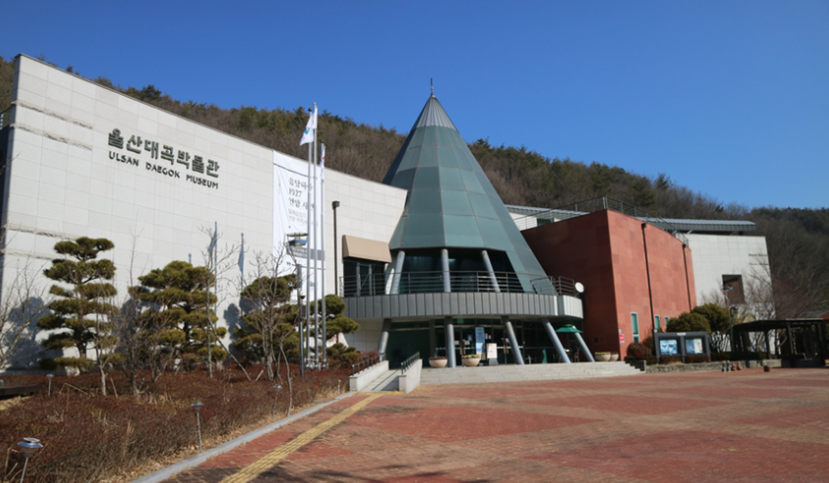 울산대곡박물관